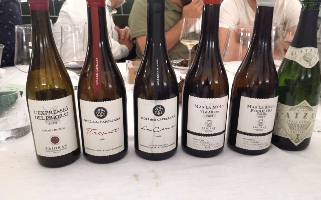 IV Cata de vinos Kawaru Consulting