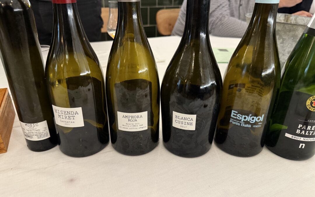 V Cata de vinos Kawaru Consulting