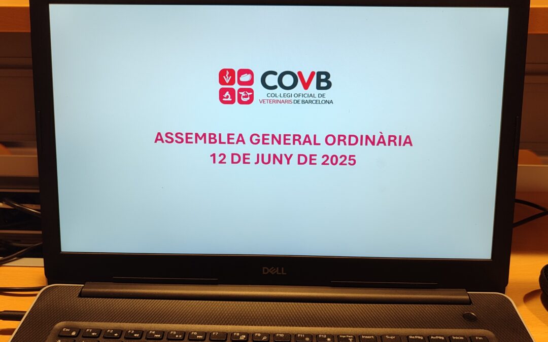 Ayer fue un gran día para la digitalización y la participación democrática